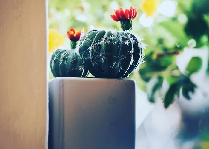 Boutique Sant'andrea & Relais